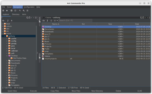 Ant Commander Pro explorer mode on Linux