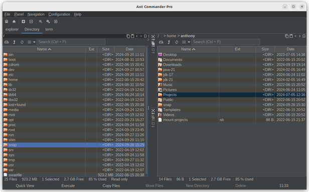 Ant Commander Pro file manager on Linux